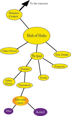 A partial diagram of
Wellesley's network